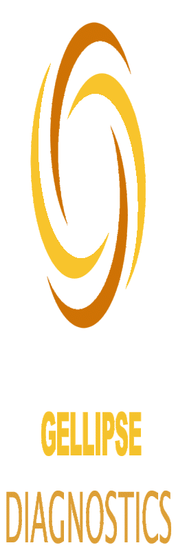 Logo de l'artisan Gellipse Diagnostics