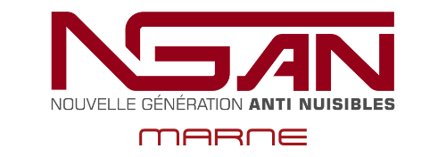 NGAN France - Entreprise Anti-Nuisibles