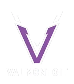 Logo de l'artisan Valmontoit