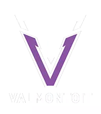 Valmontoit