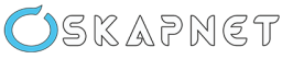 Logo de l'artisan SKAPNET