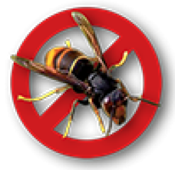 Logo de l'artisan Metzmetroguêpes