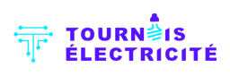 Logo de l'artisan Tournois Electricité SAS