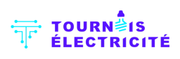 Logo Tournois Electricité SAS — Chauffagiste — à Behonne
