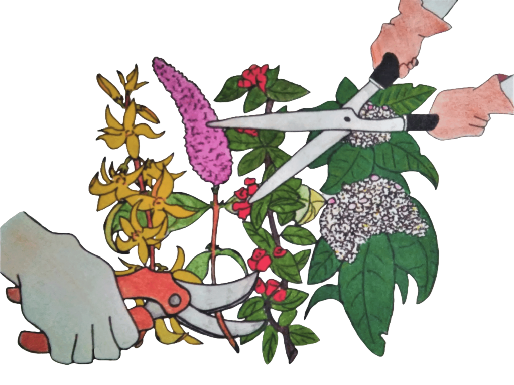 Le tailleur des 4 saisons