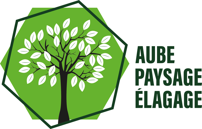 Aube Paysage Elagage