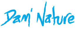 Logo de l'artisan Dam'Nature