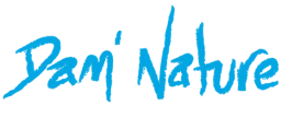 Logo Dam'Nature — Jardinier - Paysagiste — à Maizières-lès-Metz