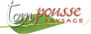 Tom Pousse Nord Alsace