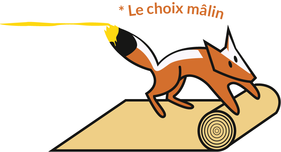 Du Sol Au Plafond SARL