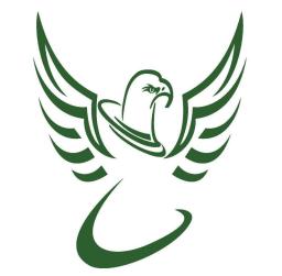 Logo de l'artisan L'epervier securite protection SARL