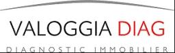 Logo de l'artisan Valoggia Diag