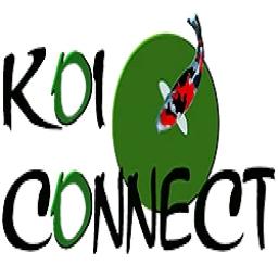Logo de l'artisan Koiconnect