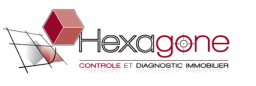 Logo de l'artisan Hexagone