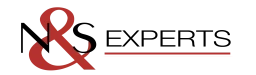 Logo N&S Experts — Professionnel du traitement des nuisibles — à Metz