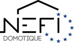 Logo NEFI Domotique — Sécurité & Surveillance — à Fagnières