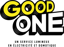 Logo de l'artisan Good One