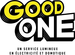 Logo Good One — Chauffagiste — à Gertwiller