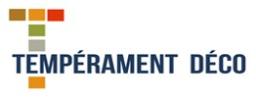 Logo de l'artisan Temperament Deco Diffusion