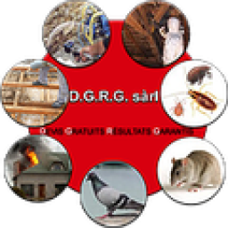 Logo de l'artisan DGRG