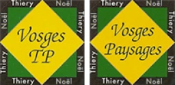 Logo Vosges Paysages — Jardinier - Paysagiste — à Vecoux