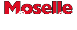 Logo de l'artisan Moselle Paysages