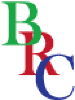 Logo de l'artisan B R C SARL