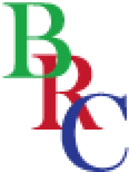 Logo B R C SARL — Sécurité & Surveillance — à Châlons-en-Champagne