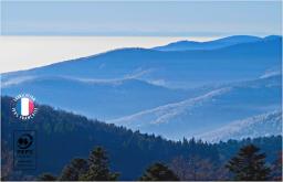 Logo de l'artisan Fornezzo Et Fils SARL