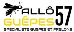 Logo Allô Guêpes 57 — Professionnel du traitement des nuisibles — à Arry