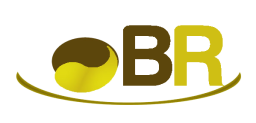 Logo de l'artisan Br Menuiserie