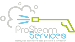 Logo de l'artisan Prosteam Services