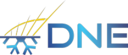 Logo de l'artisan DNE