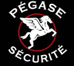 Logo Pégase Sécurité — Sécurité & Surveillance — à Fontenoy-sur-Moselle