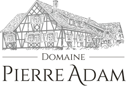 Logo de l'artisan SEVE Nat