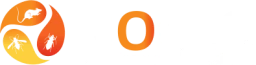 Logo Nocéo — Professionnel du traitement des nuisibles — à Strasbourg