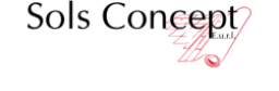 Logo de l'artisan Sols Concept