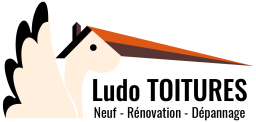 Logo de l'artisan Ludo Toitures
