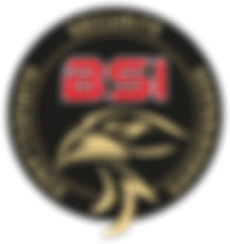 Logo de l'artisan BSI Sécurité