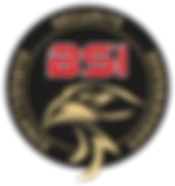 Logo BSI Sécurité — Sécurité & Surveillance — à Reims