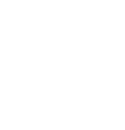 Logo Thiroux Yannis — Sécurité & Surveillance — à La Rivière-de-Corps