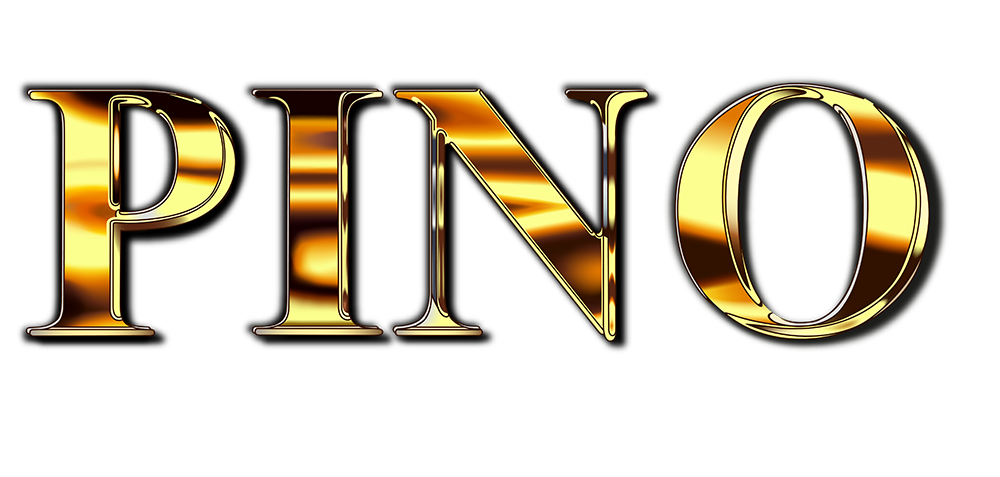 SAS PINO - Entreprise de Batiment - Rénovation maisons et appartements - Extension & Agrandissement