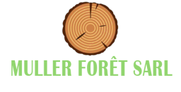 Logo de l'artisan Muller Forêts