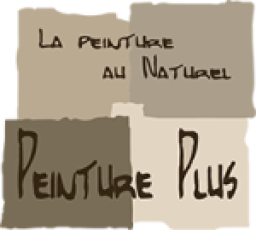 Logo de l'artisan Peinture Plus