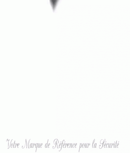 Logo de l'artisan Serrurerie Sturtz Daniel