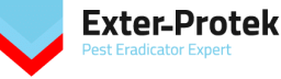 Logo de l'artisan Exter Protek