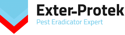 Exter Protek