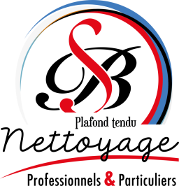 Logo de l'artisan Plafond Net Service