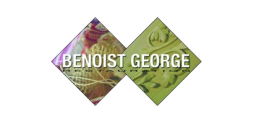 Logo de l'artisan Benoist George ETS