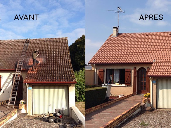 Toitures nettoyage démoussage